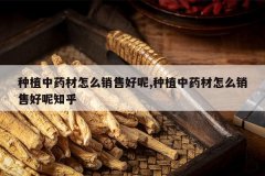 <b>��ֲ��ҩ����ô���ۺ���,��ֲ��ҩ����ô���ۺ���֪��</b>