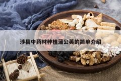 <b>������ҩ����ֲ�ѹ�Ӣ�ļ򵥽���</b>