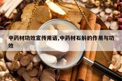 <b>��ҩ�Ĺ�Ч��������,��ҩ��ʯ���������빦Ч</b>