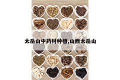 <b>̫��ɽ��ҩ����ֲ,ɽ��̫��ɽ</b>