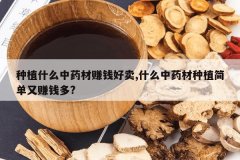 <b>��ֲʲô��ҩ��׬Ǯ����,ʲô��ҩ����ֲ����׬Ǯ��?</b>