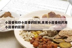 <b>С����ͳ�С���������,ʳ��С�����ҩ��С���������</b>