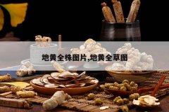 <b>�ػ�ȫ��ͼƬ,�ػ�ȫ��ͼ</b>