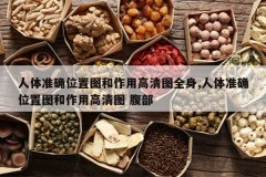 <b>����׼ȷλ��ͼ�����ø���ͼȫ��,����׼ȷλ��ͼ�����ø���ͼ ��</b>