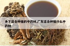 <b>�����ʺ���ֲ����ҩ��,�㶫�ʺ���ֲʲô��ҩ��</b>