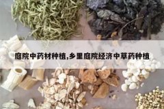 <b>ͥԺ��ҩ����ֲ,����ͥԺ�����в�ҩ��ֲ</b>