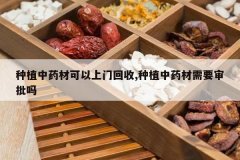 <b>��ֲ��ҩ�Ŀ������Ż���,��ֲ��ҩ����Ҫ������</b>