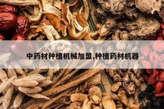 <b>��ҩ����ֲ��е����,��ֲҩ�Ļ���</b>