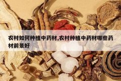 <b>ũ�������ֲ��ҩ��,ũ����ֲ��ҩ����Щҩ��ǰ����</b>