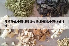 <b>��ֲʲô��ҩ��׬Ǯ��Щ,��ֲɶ��ҩ�ĺ���Ǯ</b>