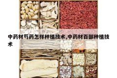 <b>��ҩ����ҩ������ֲ����,��ҩ�İٲ���ֲ����</b>