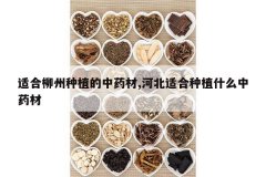 <b>�ʺ�������ֲ����ҩ��,�ӱ��ʺ���ֲʲô��ҩ��</b>