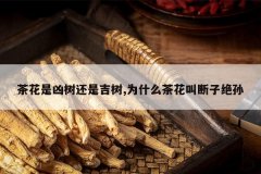 <b>�軨���������Ǽ���,Ϊʲô�軨�ж��Ӿ���</b>