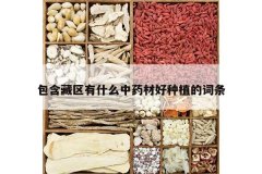 <b>����������ʲô��ҩ�ĺ���ֲ�Ĵ���</b>