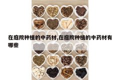 <b>��ͥԺ��ֲ����ҩ��,��ͥԺ��ֲ����ҩ������Щ</b>