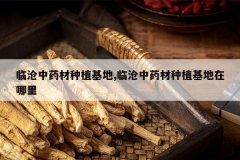 <b>�ٲ���ҩ����ֲ����,�ٲ���ҩ����ֲ����������</b>