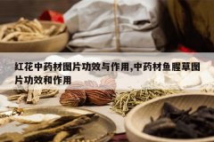 <b>�컨��ҩ��ͼƬ��Ч������,��ҩ�����Ȳ�ͼƬ��Ч������</b>