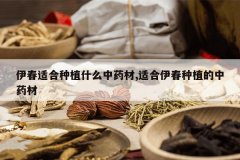 <b>�����ʺ���ֲʲô��ҩ��,�ʺ�������ֲ����ҩ��</b>