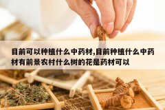 <b>Ŀǰ������ֲʲô��ҩ��,Ŀǰ��ֲʲô��ҩ����ǰ��ũ��ʲô����</b>