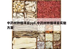 <b>��ҩ����ֲ��Ŀppt,��ҩ����ֲ��Ŀʵʩ����</b>