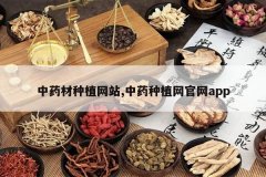 <b>��ҩ����ֲ��վ,��ҩ��ֲ������app</b>