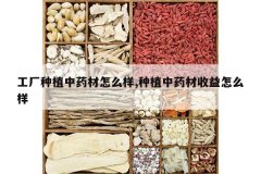 <b>������ֲ��ҩ����ô��,��ֲ��ҩ��������ô��</b>