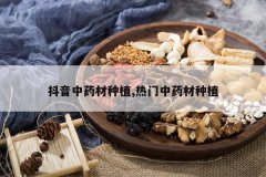 <b>������ҩ����ֲ,������ҩ����ֲ</b>