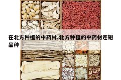 <b>�ڱ�����ֲ����ҩ��,������ֲ����ҩ������Ʒ��</b>