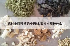 <b>ũ��СԺ��ֲ����ҩ��,ũ��СԺ��ʲô</b>