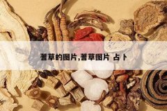 <b>��ݵ�ͼƬ,���ͼƬ ռ��</b>