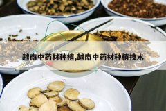 <b>Խ����ҩ����ֲ,Խ����ҩ����ֲ����</b>