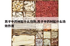 <b>������ҩ����ʲô��Ч,������ҩ����ʲô��Ч����</b>