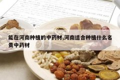 <b>���ں�����ֲ����ҩ��,�����ʺ���ֲʲô������ҩ��</b>