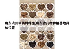 <b>ɽ��������ҩ����ֲ,ɽ��ʡҩ����ֲ���ؾ���λ��</b>