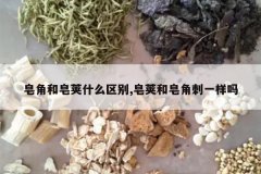 <b>���Ǻ�����ʲô����,���Ժ����Ǵ�һ����</b>