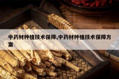 <b>��ҩ����ֲ��������,��ҩ����ֲ�������Ϸ���</b>