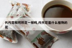 <b>�����������黨һ����,��������ʲôֲ��Ļ�</b>