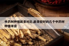 <b>��ҩ����ֲǰ���Ա�,ǰ���Ϻõļ�����ҩ����ֲ��Ŀ</b>