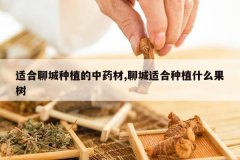 <b>�ʺ��ĳ���ֲ����ҩ��,�ĳ��ʺ���ֲʲô����</b>