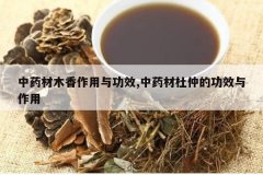 <b>��ҩ��ľ�������빦Ч,��ҩ�Ķ��ٵĹ�Ч������</b>