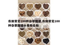 <b>ũ�ﳣ��100���Ӳ�ͼ��,ũ�ﳣ��100���Ӳ�ͼ��С�������</b>