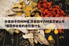 <b>ת������ҩ����ֲ,ת������ҩ���Ƿ��Ͽ�?ҽҩ������Ķ�λ��ʲ</b>