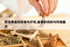 <b>Ұ���ƽ�����������Ч,���ƵĹ�Ч������ͼƬ</b>