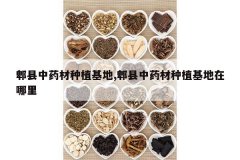 <b>ۯ����ҩ����ֲ����,ۯ����ҩ����ֲ����������</b>