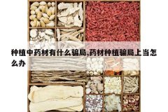 <b>��ֲ��ҩ����ʲôƭ��,ҩ����ֲƭ���ϵ���ô��</b>