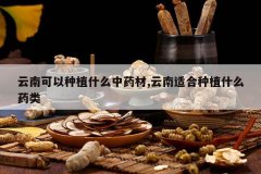 <b>���Ͽ�����ֲʲô��ҩ��,�����ʺ���ֲʲôҩ��</b>