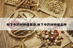 <b>������ҩ����ֲ����,������ҩ����ֲƷ��</b>