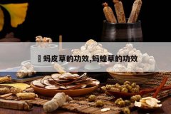 <b>���Ƥ�ݵĹ�Ч,��ȲݵĹ�Ч</b>