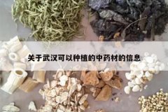 <b>�����人������ֲ����ҩ�ĵ���Ϣ</b>