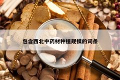 <b>����������ҩ����ֲ��ģ�Ĵ���</b>